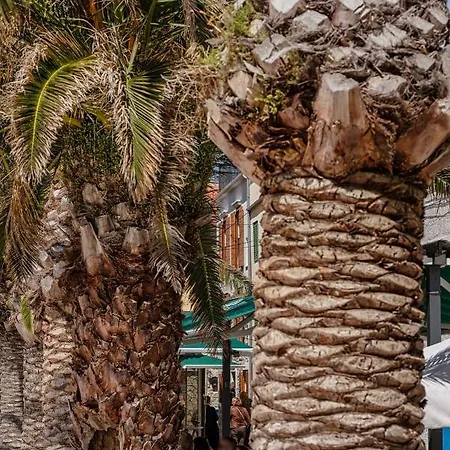 Apartamento Heritage In Center With Pool *