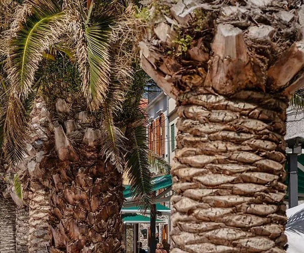 Lejlighed Heritage In Center With Pool *